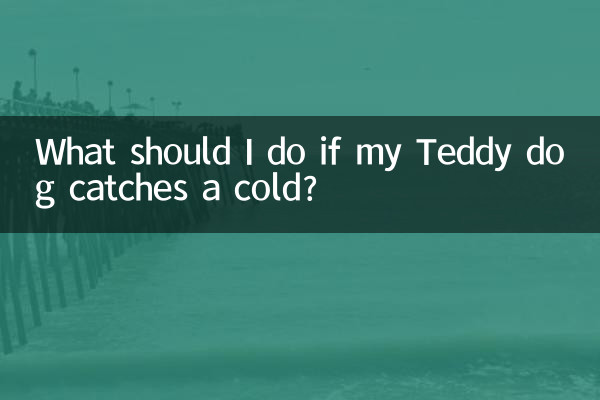 泰迪狗狗著涼了怎麼辦