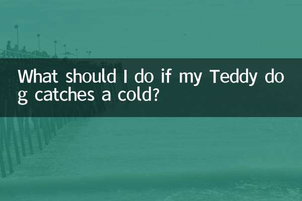 اگر سگ تدی من سرما خورد چه کار کنم؟