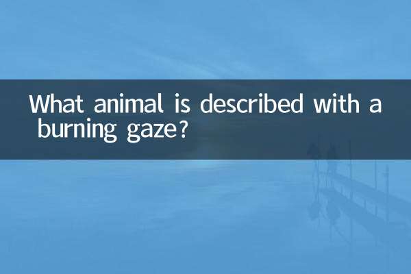 Welches Tier wird mit brennendem Blick beschrieben?
