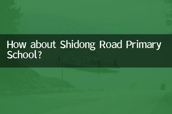 শিডং রোড প্রাইমারি স্কুলের অবস্থা কেমন?