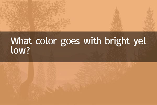 밝은 노란색에는 어떤 색이 어울리나요?