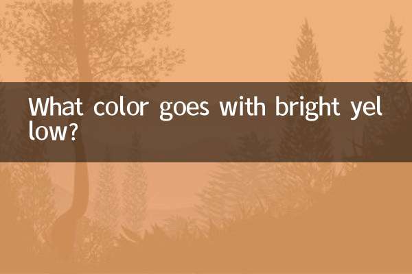亮黄色与什么色搭