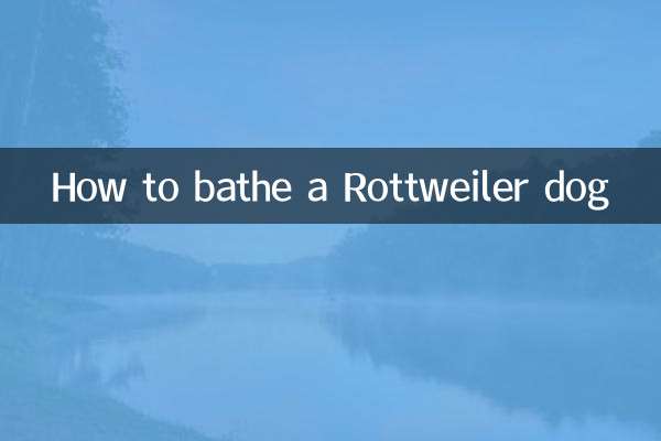 रॉटवीलर कुत्ते को कैसे नहलाएं