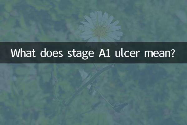 A1기 궤양은 무엇을 의미합니까?