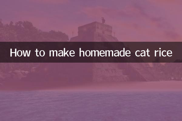 Como fazer arroz de gato caseiro