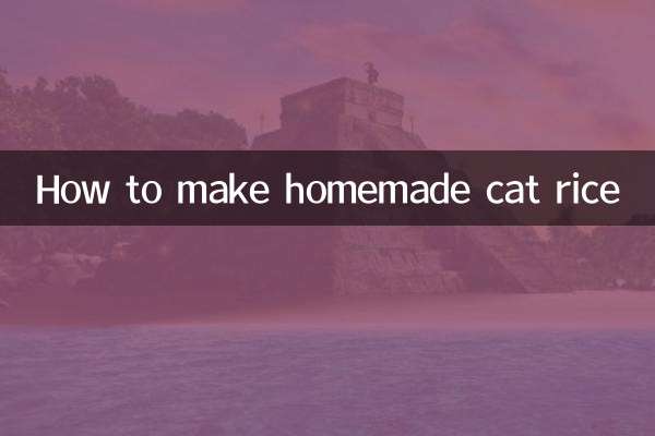 집에서 고양이 밥 만드는 법