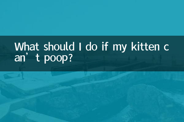 আমার বিড়ালছানা মলত্যাগ করতে না পারলে আমার কী করা উচিত?