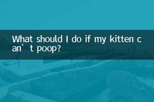 यदि मेरी बिल्ली का बच्चा शौच नहीं कर सकता तो मुझे क्या करना चाहिए?