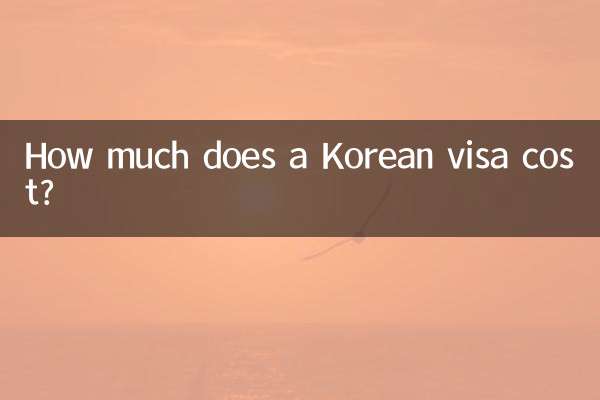 韓国のビザの費用はいくらですか?