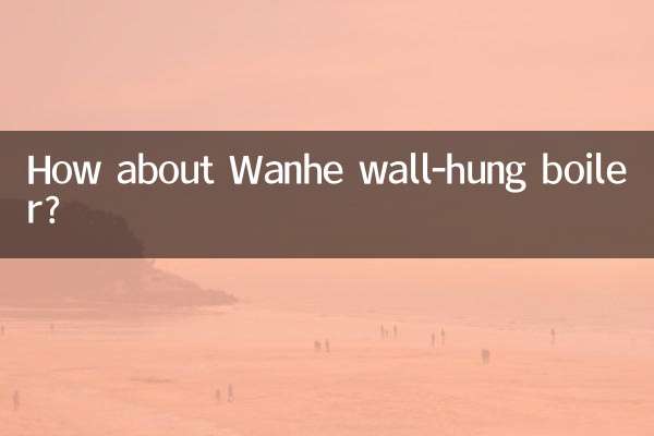 Que tal a caldeira suspensa Wanhe?