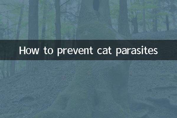 고양이 기생충을 예방하는 방법