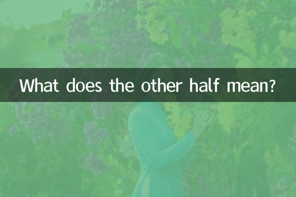 Cosa significa l'altra metà?