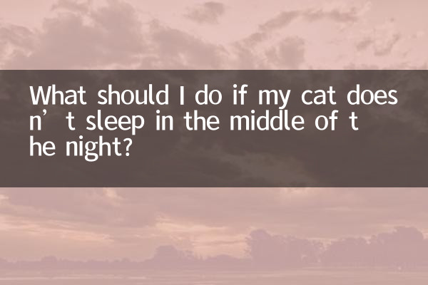猫半夜不睡觉怎么办