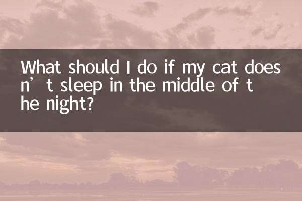 ماذا أفعل إذا لم تنام قطتي في منتصف الليل؟