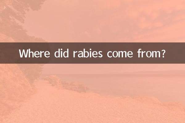 Woher kommt die Tollwut?