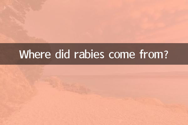 Woher kommt die Tollwut?