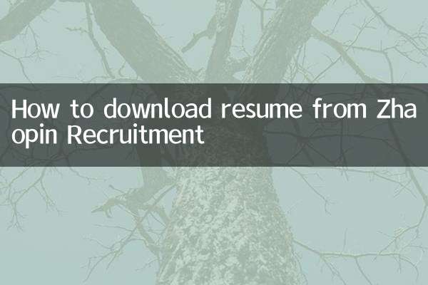 झाओपिन रिक्रूटमेंट से बायोडाटा कैसे डाउनलोड करें