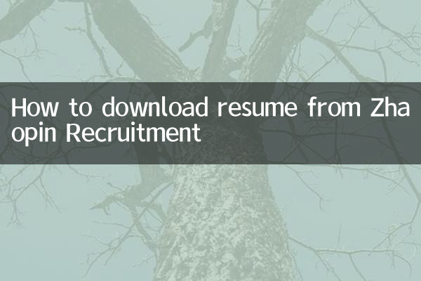 झाओपिन रिक्रूटमेंट से बायोडाटा कैसे डाउनलोड करें