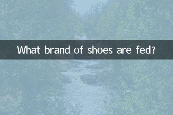 ¿Qué marca de zapatos se alimentan?