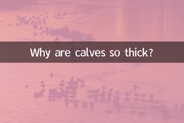 为什么小腿那么粗