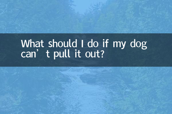 What should I do if my dog can’t pull it out?