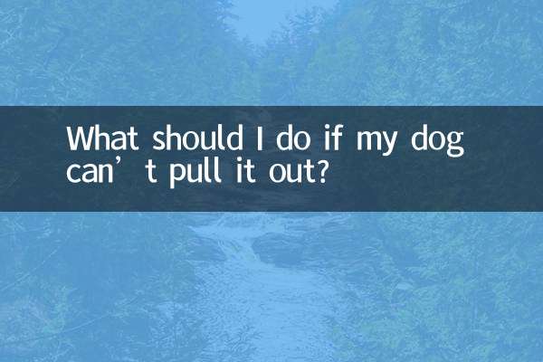 O que devo fazer se meu cachorro não conseguir retirá-lo?