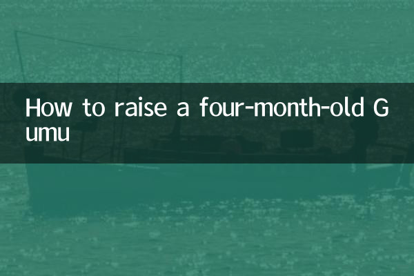 Cómo criar a un Gumu de cuatro meses