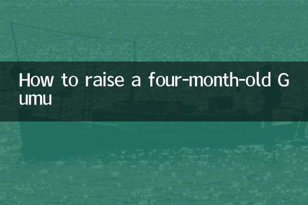 Comment élever un Gumu de quatre mois