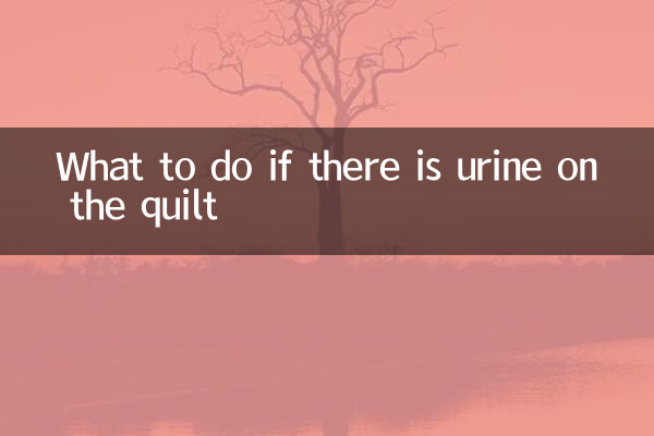 O que fazer se houver urina na colcha
