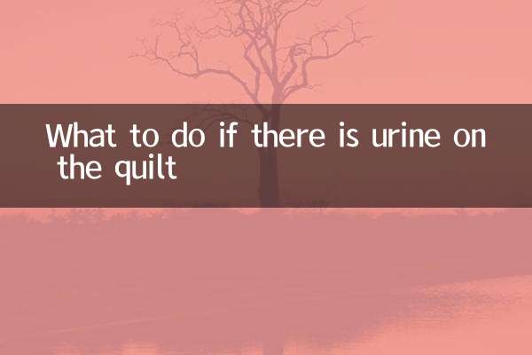 O que fazer se houver urina na colcha