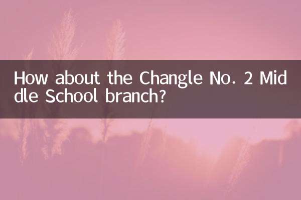 Qu’en est-il de la branche du collège Changle n°2 ?