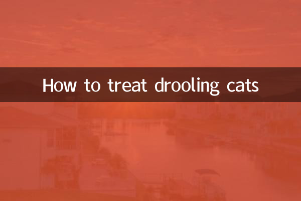 বিড়ালদের ড্রুলিং কীভাবে চিকিত্সা করা যায়