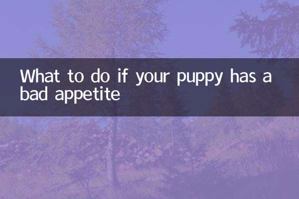 Cosa fare se il tuo cucciolo ha scarso appetito?