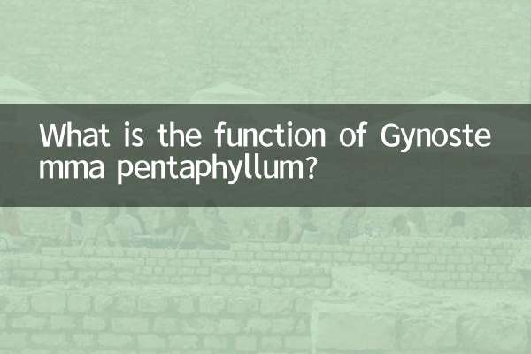 Welche Funktion hat Gynostemma pentaphyllum?