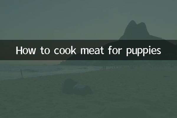 怎麼給小狗做肉吃