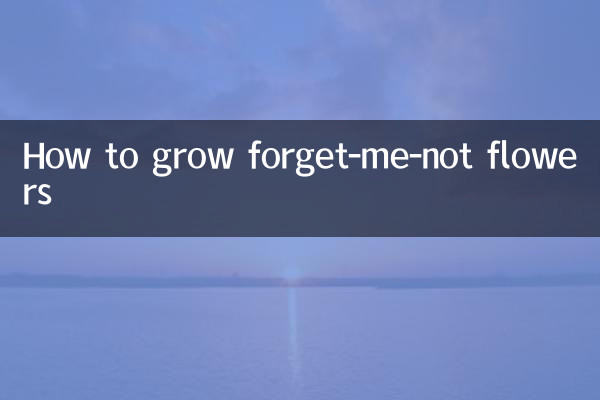 Cómo cultivar flores de nomeolvides