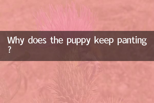 چرا توله سگ به نفس نفس زدن ادامه می دهد؟