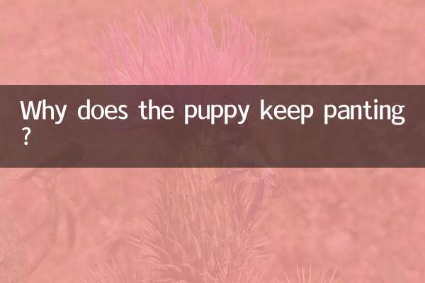 چرا توله سگ به نفس نفس زدن ادامه می دهد؟