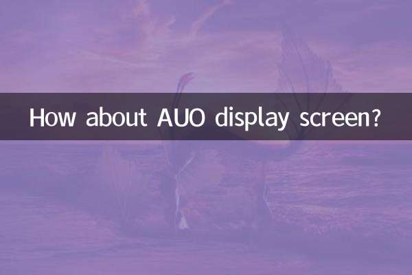 AUO 디스플레이 화면은 어떻습니까?