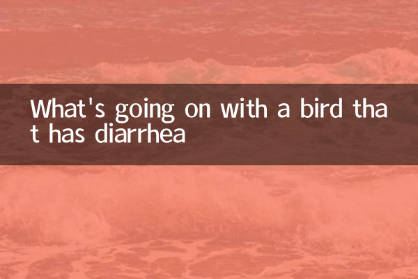 Que se passe-t-il avec un oiseau qui a de la diarrhée