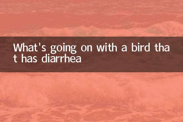 Que se passe-t-il avec un oiseau qui a de la diarrhée