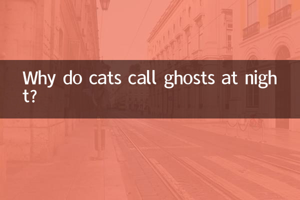 Why do cats call ghosts at night?