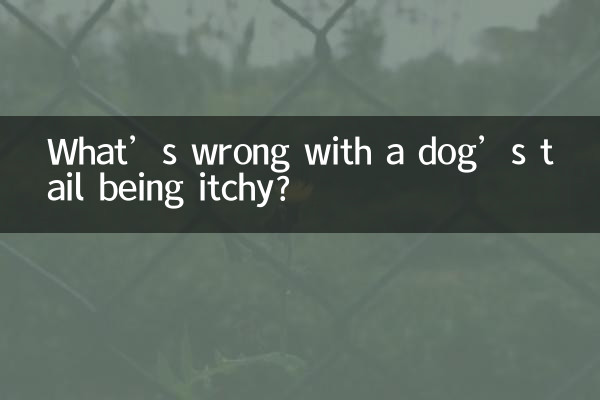 What’s wrong with a dog’s tail being itchy?