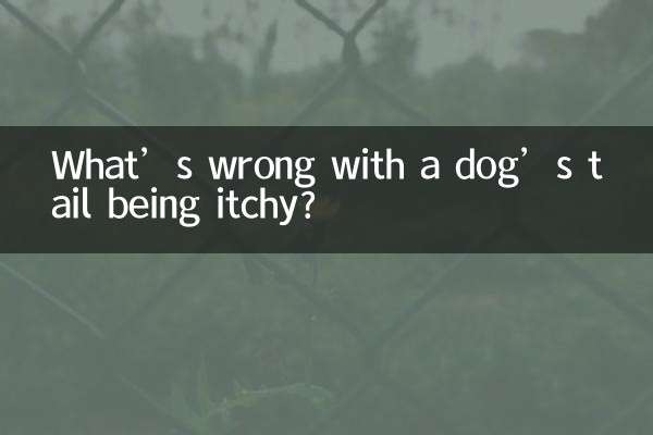 狗狗尾巴痒是怎么回事