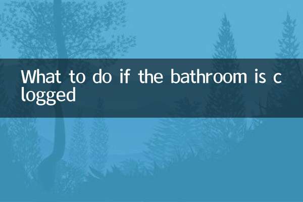Qué hacer si el baño está atascado
