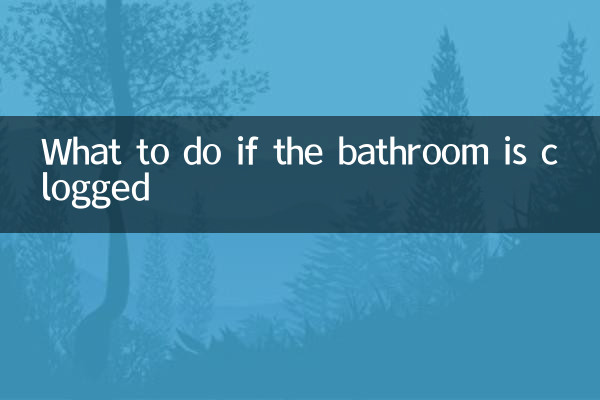 What to do if the bathroom is clogged