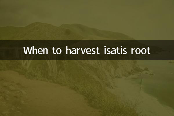 Quando raccogliere la radice di isatis