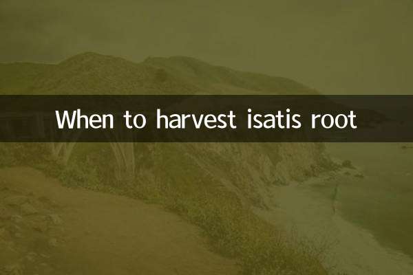 When to harvest isatis root