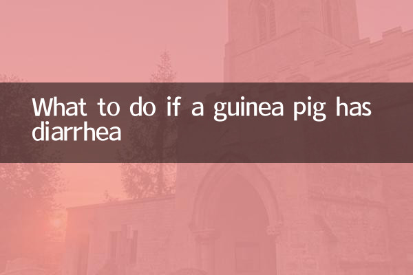 গিনিপিগের ডায়রিয়া হলে কী করবেন