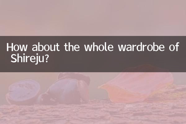 シレジュのワードローブ全体はどうでしょうか?